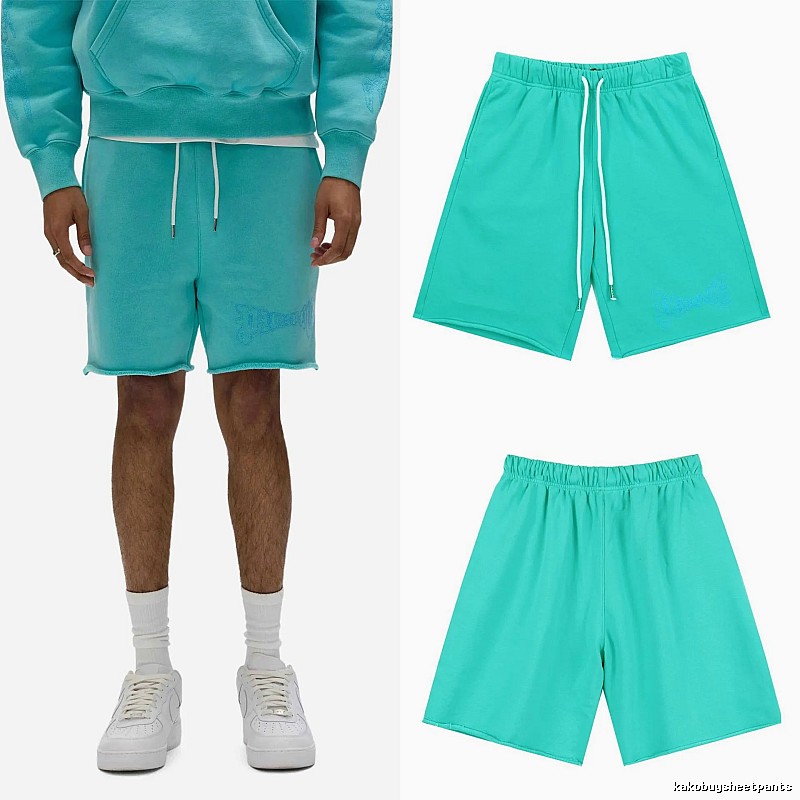 Godspeed Embroidered Street Style Lake Blue Casual Shorts