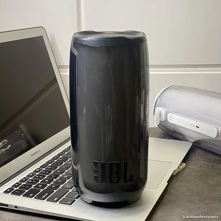 JBL Pulse Portable Speaker in Black