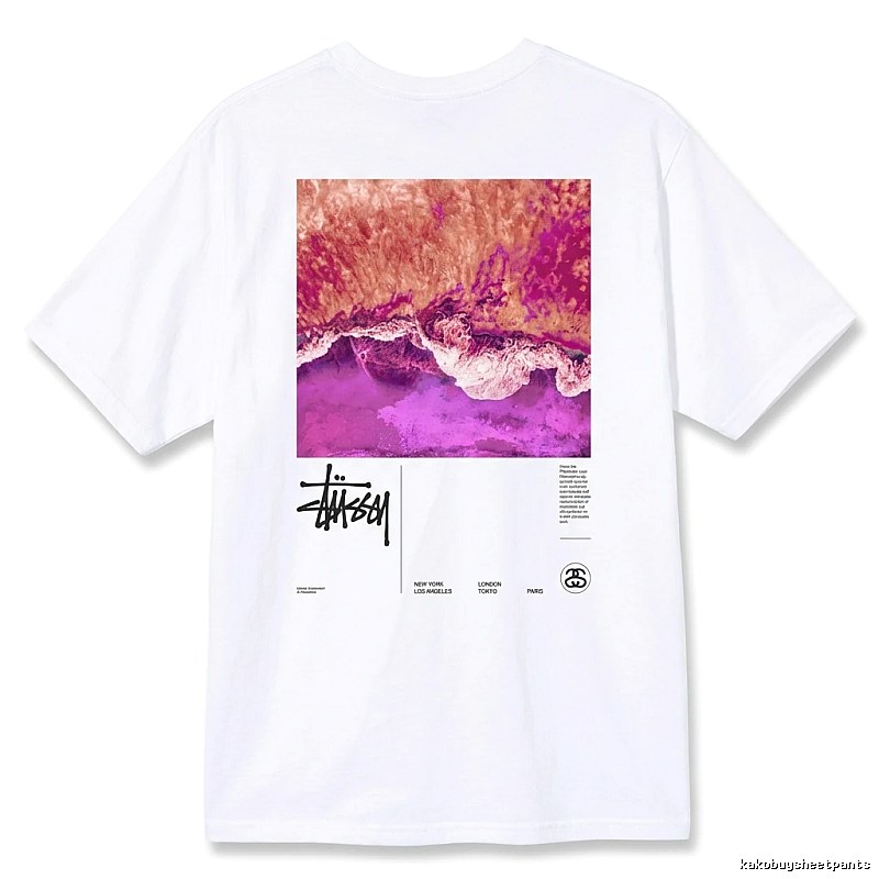 Stussy wave - printed white T - shirt